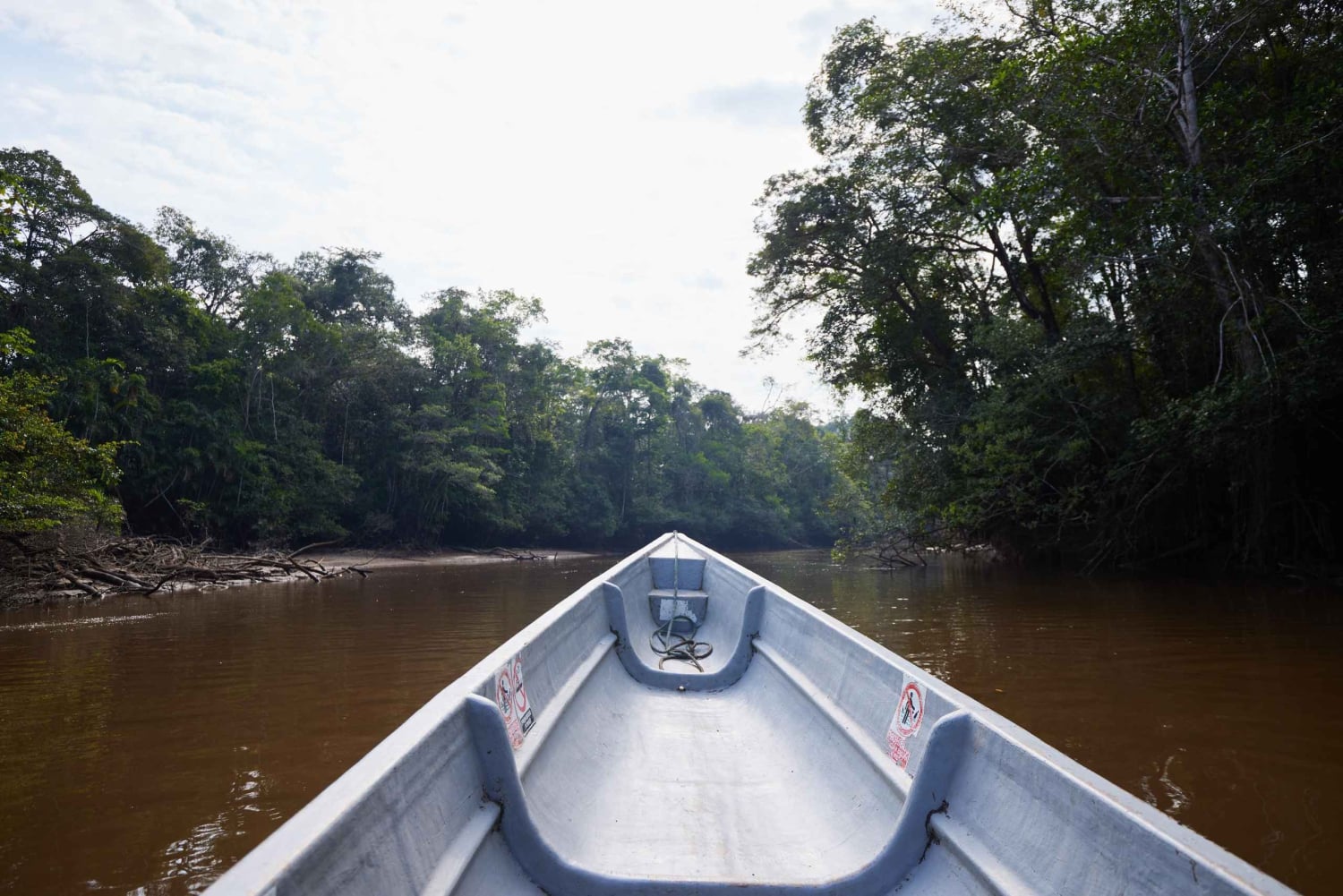 Cuyabeno: 4-dagers jungeleventyr i Amazonas med lodgeopphold