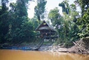 Cuyabeno : 4 jours d'aventure dans la jungle amazonienne avec séjour en lodge