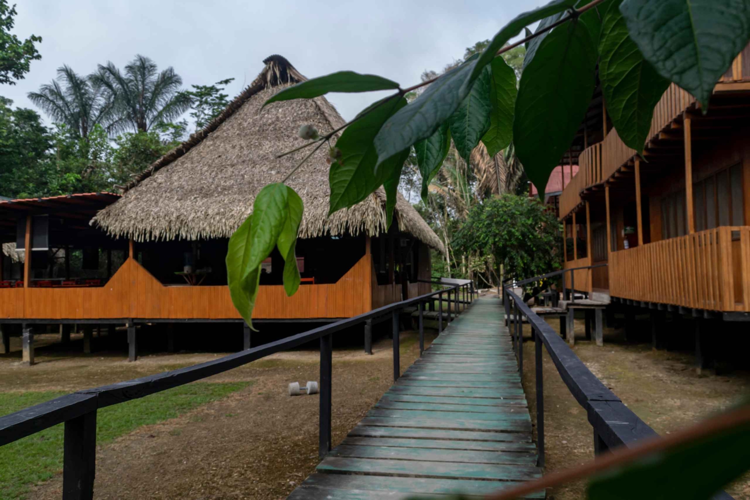 Cuyabeno 4 أيام و 3 نقاط