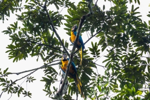 Cuyabeno 4 أيام و 3 نقاط