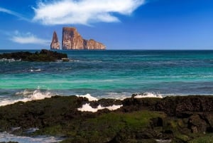 San Cristobal Highlight Day Tour 360 + Kicker Rock snorkel