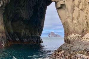 San Cristobal Highlight Day Tour 360 + Kicker Rock snorkel