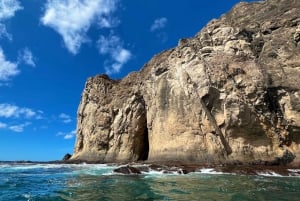 San Cristobal Highlight Day Tour 360 + Kicker Rock snorkel