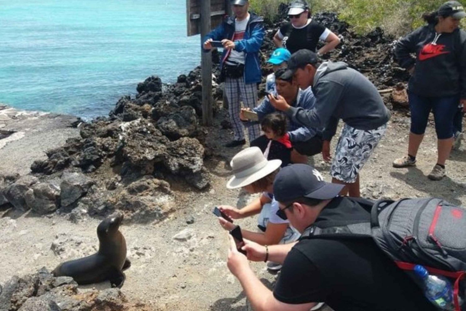 Viagem de 1 dia para a Ilha Isabela e Tintoreras em Galápagos