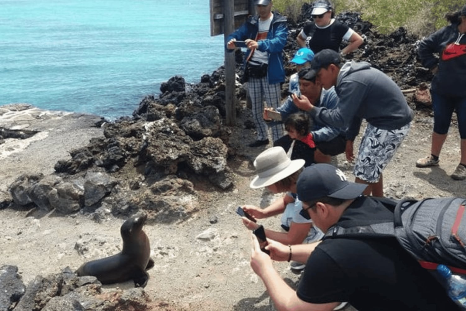 Escursione di un giorno all'Isola Isabela e Tintoreras nelle Galápagos