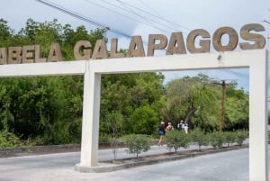 Dagstur til Isabela Island og Tintoreras i Galápagos