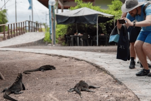 Escursione di un giorno all'Isola Isabela e Tintoreras nelle Galápagos