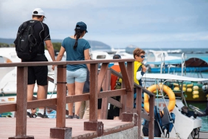 Escursione di un giorno all'Isola Isabela e Tintoreras nelle Galápagos