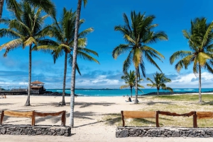 Escursione di un giorno all'Isola Isabela e Tintoreras nelle Galápagos