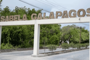 Escursione di un giorno all'Isola Isabela e Tintoreras nelle Galápagos