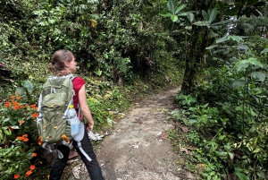 De Quito: Excursão à Floresta Nublada de Mindo - Almoço incluído