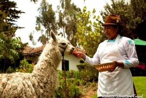 Ecuador: 9-Days, 8-Nights Ecuador Private Foodie Tour