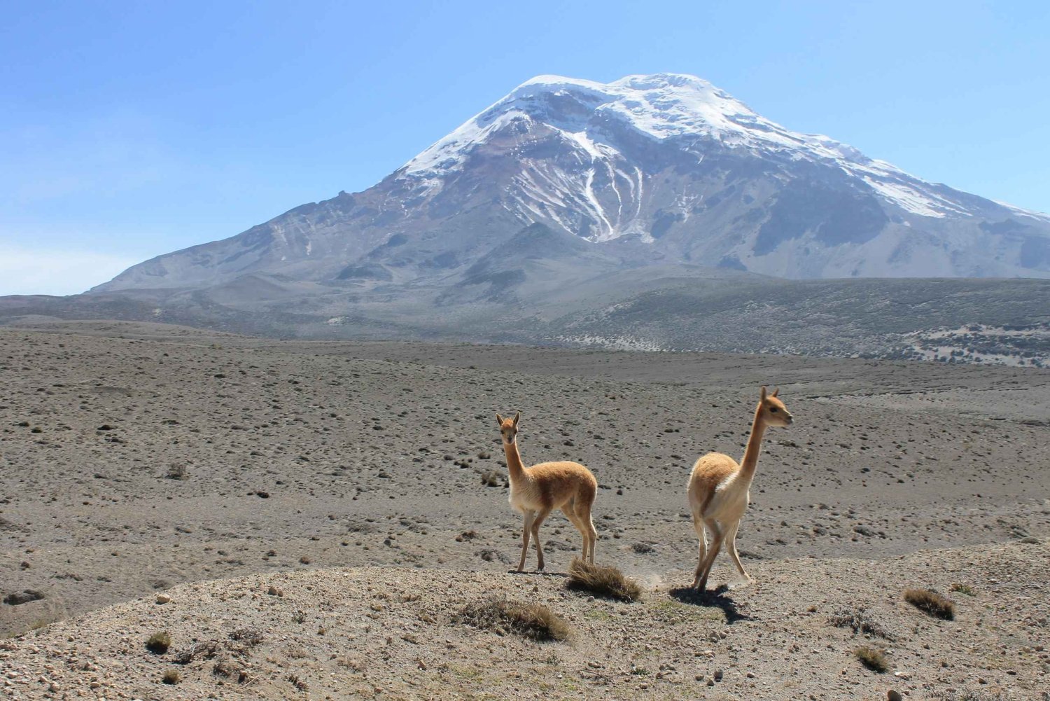 Ecuador: Straße der Vulkane – 7-tägige Tour