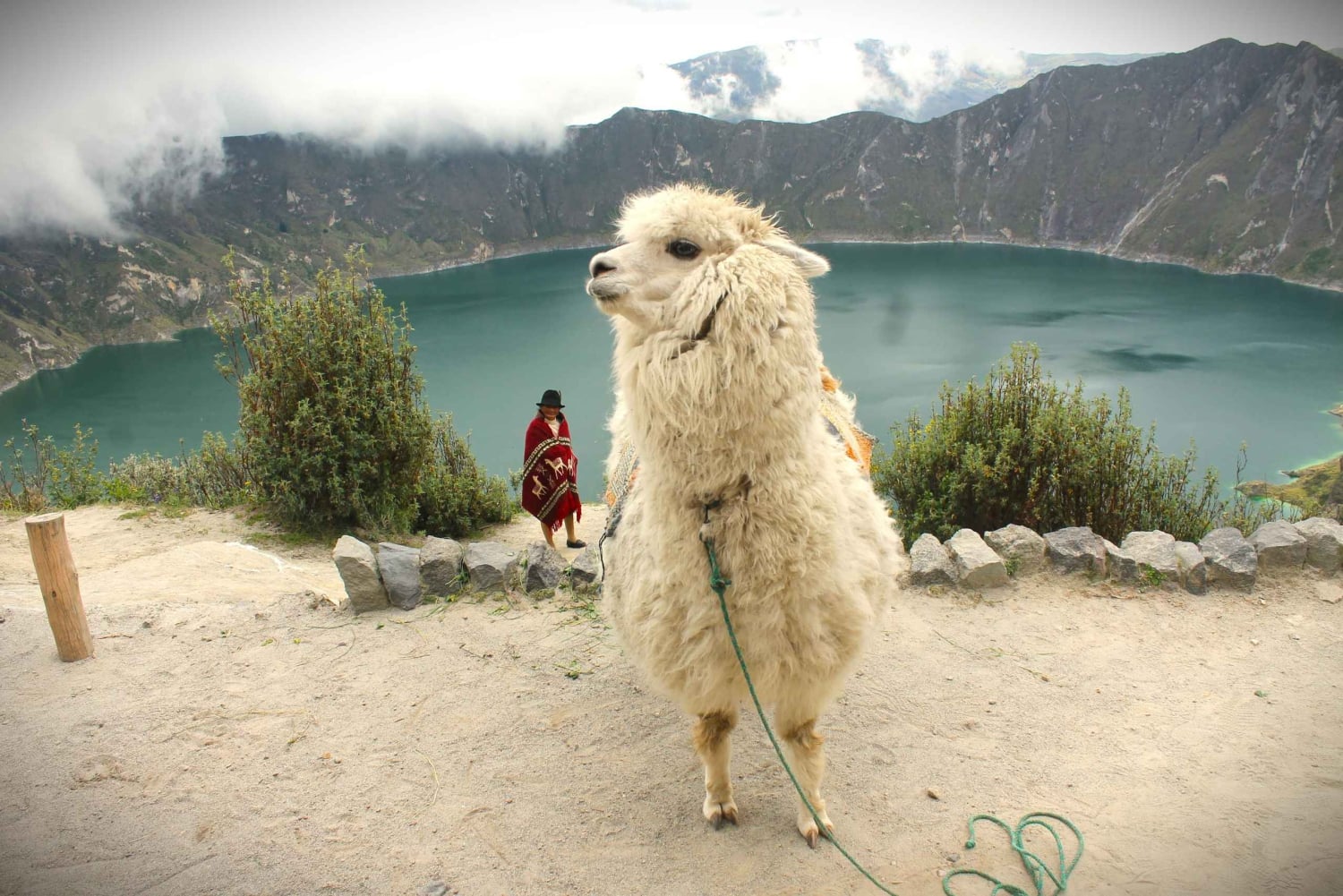 Ecuador: Avenue of the Volcanoes - 7-daagse tour