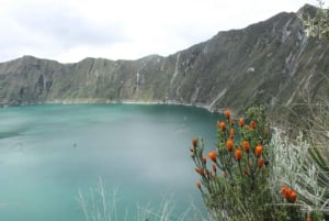 Ecuador: Avenue of the Volcanoes - 7-daagse tour