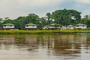 Circuit Équateur Cuyabeno Adventure 6 jours