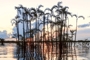 Circuit Équateur Cuyabeno Adventure 6 jours