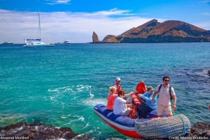 Ecuador og Galapagosøyene: Reiserute, transport og hoteller