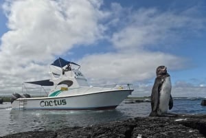 イサベラ島カボ・ロサ洞窟探検：シュノーケル1日コース