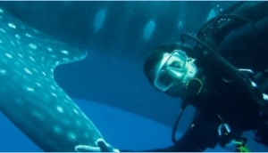 Exploramar Diving