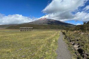 Explore Cotopaxi & Baños in One Day from Quito