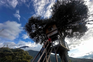 Explore Cotopaxi & Baños in One Day from Quito