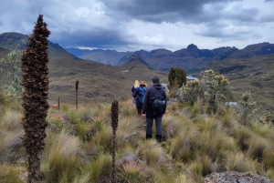 Esplora Cuenca in un tour di 2 giorni che include Cajas e Ingapirca