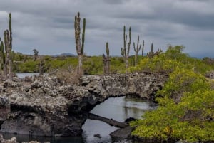 Verken de tunnels van Cabo Rosa op Isabela: snorkelen, fauna en landschappen