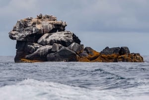 Verken de tunnels van Cabo Rosa op Isabela: snorkelen, fauna en landschappen