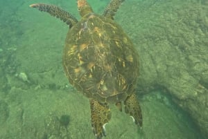 Verken de tunnels van Cabo Rosa op Isabela: snorkelen, fauna en landschappen