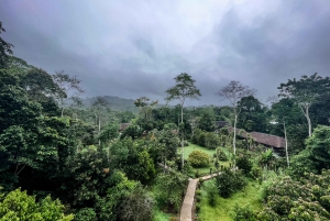 Utforska de ecuadorianska Anderna och Amazonas på 6 dagar|från Quito