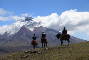 Udforsk de ecuadorianske Andesbjerge og Amazonas på 6 dage|fra Quito