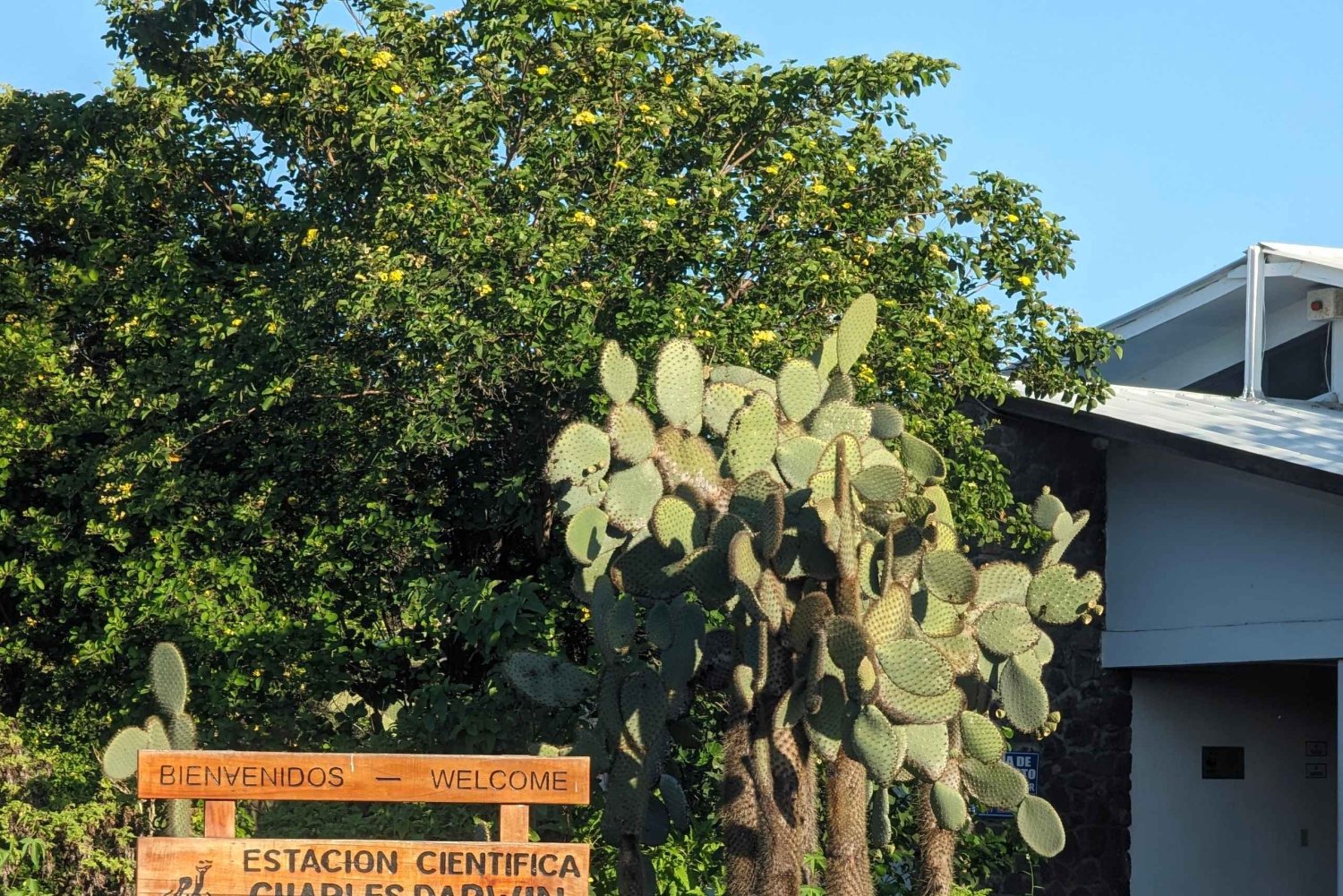 ¡Explora Galápagos! Tortugas Gigantes, Cráteres Gemelos, Túneles y Darwin