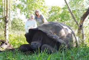 Tutustu Galápagosiin! Jättiläiskilpikonnat, Twin Craters, tunnelit ja Darwin