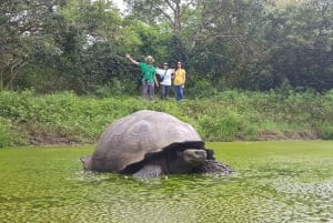 Tutustu Galápagosiin! Jättiläiskilpikonnat, Twin Craters, tunnelit ja Darwin
