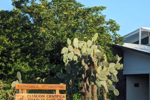 استكشف جزر غالاباغوس! السلاحف العملاقة والحفر التوأم والأنفاق وداروين