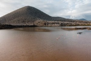 Floreana: Discover the First Inhabited Galapagos Island