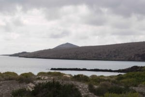 Île de Floreana : Visite d'une jounée aux Galápagos