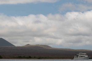Isla Floreana: Excursión de día completo en Galápagos