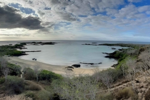 Isla Floreana: Tour día Completo en Galápagos con Enchanted Islands!