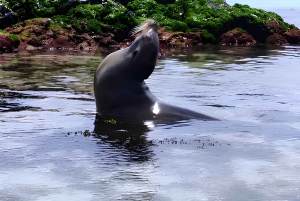 Isla Floreana: Tour día Completo en Galápagos con Enchanted Islands!