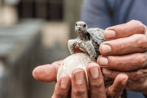 Fly Galapagos unike 9-dagers tur