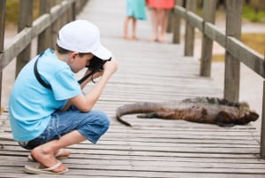 Fly Galapagos unike 9-dagers tur