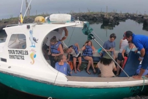 From Baltra: Galápagos Islands 5-Day Full-Board Nature Tour
