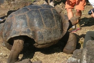 From Baltra Island: Galápagos Islands 5-Day Nature Tour