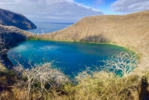 From Baltra Island: Galápagos Islands 5-Day Nature Tour