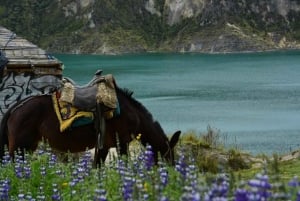 From Baños: Quilotoa Lagoon Full-Day Tour with Lunch