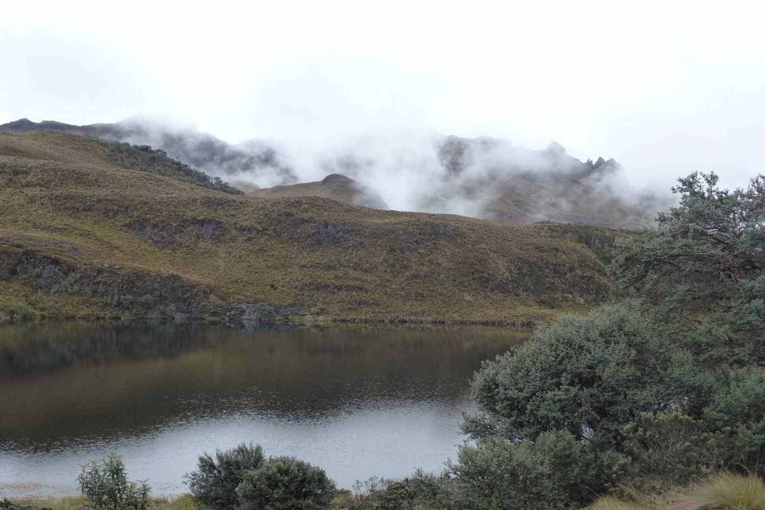 From Cuenca: Cajas National Park Half-Day Trip