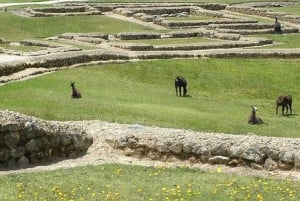 Fra Cuenca: Ingapirca-ruinstur