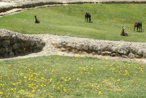 From Cuenca: Ingapirca Ruins Tour